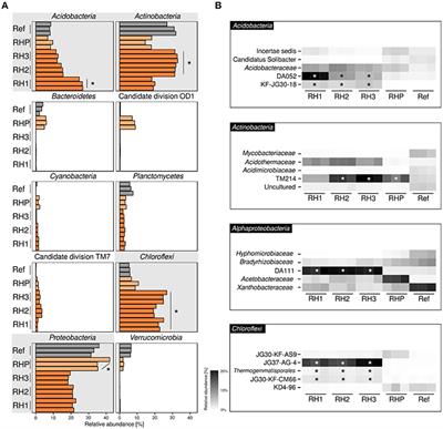 Unexpected Dominance of Elusive Acidobacteria in Early Industrial Soft Coal Slags